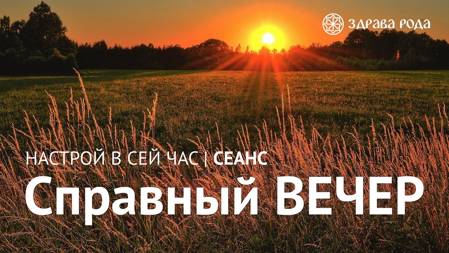 Справный ВЕЧЕР. Оздоровительный сеанс Здравы РОДА. смотреть онлайн