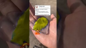 Анекдот про необычную женщину