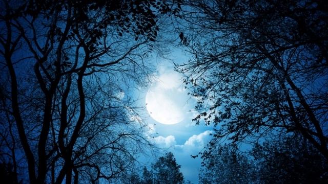 Ночь коротка а жизнь как ночь , Николай Рубцов , Советская Поэзия , читает Павел Беседин смотреть онлайн