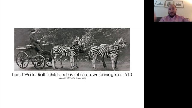 Gallery Talk: Early Circus Prints смотреть онлайн