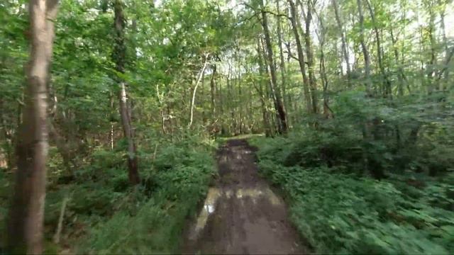 Balade foret Suz rmz450 et Ycf 150 bigy le 20 juin 2021 смотреть онлайн