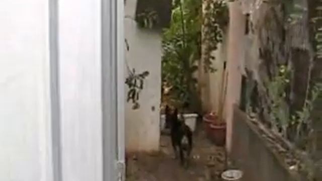 Bat Chefer, Israel смотреть онлайн