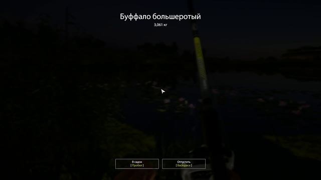 Русская рыбалка 4 - река Ахтуба - Буффало в пруду смотреть онлайн