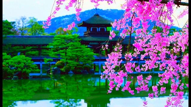 Лечебная успокаивающая китайская музыка смотреть онлайн