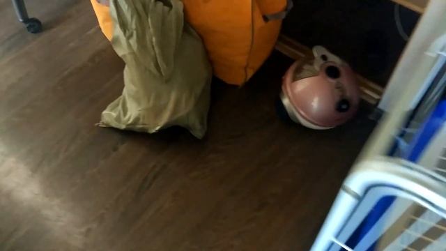 Переезд в новую квартиру с хорьками / Moving to a new apartment with ferrets смотреть онлайн