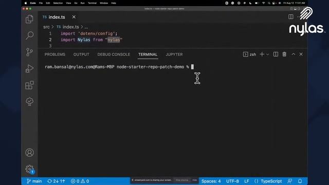 How to Patch Node NPM Packages | Coding with Nylas | Episode 14 смотреть онлайн