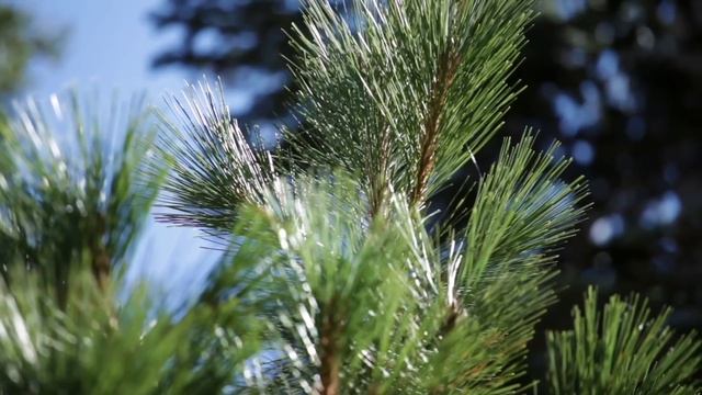 10 декабря - Везучий день. Исполнятся все ваши планы | Лунный Календарь смотреть онлайн