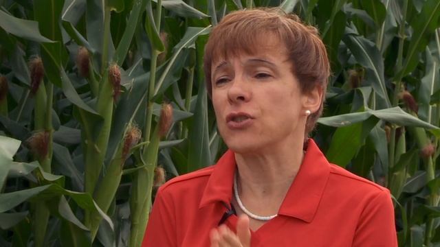 Ammonium Sulfate The Alternative to Ammonium Nitrate смотреть онлайн