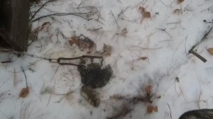 Охота Капканы На Соболя |  Всё Включено?