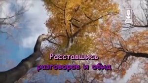 Ирина Аллегрова - Незаконченный Роман