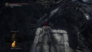 #darksouls КАК ЗАЛЕЗТЬ НА КРЫШУ ХРАМА ОГНЯ НЕ ПОКУПАЯ КЛЮЧА DARK SOULS 3?