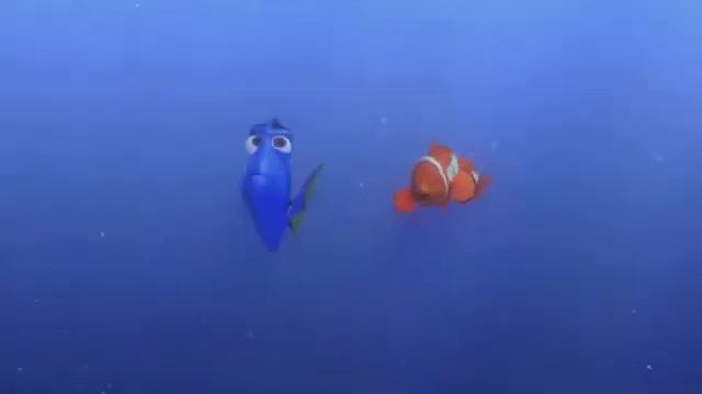 В поисках Немо 3D   язык китов