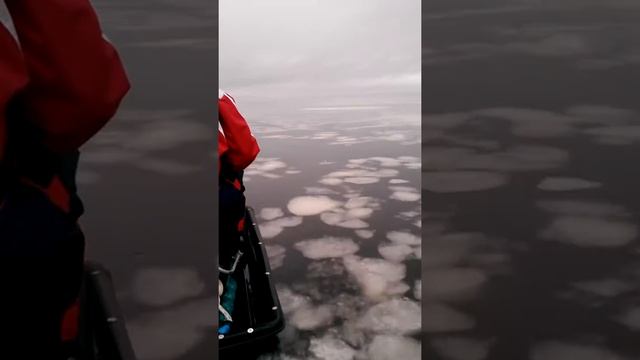 Рыбинка 2014_01 смотреть онлайн