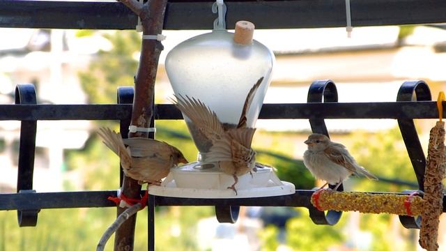 Sony A6400 240fps / Sony 28-70 Ff Kit Lens