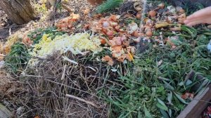 КОМПОСТНАЯ ЯМА. ЛАЙФХАКИ