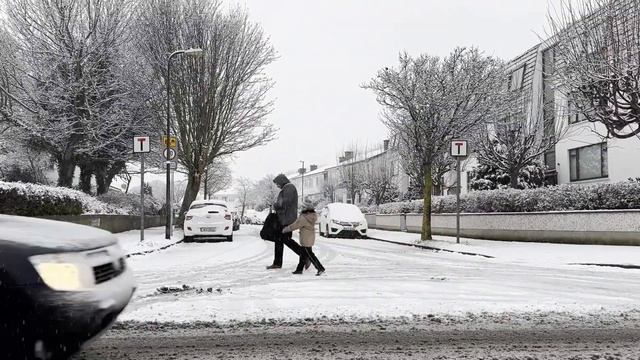 Travel disruption as snow blankets parts of Ireland смотреть онлайн
