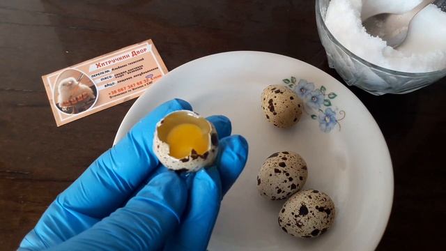 Перепелиные яйца супер завтрак/рецепт от Хитрук Елены смотреть онлайн