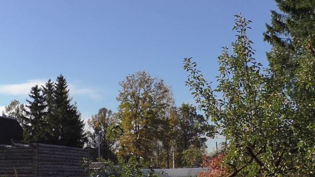 Canon LEGRIA HF G25 Video test Full HD camcorder смотреть онлайн