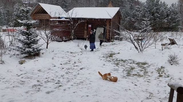 К НАМ ТОЖЕ ПРИШЛА ЗИМА!!! ФИТНЕС В ДЕРЕВНЕ: ПРОГУЛКА, ИГРА В СНЕЖКИ, УБОРКА СНЕГА! смотреть онлайн