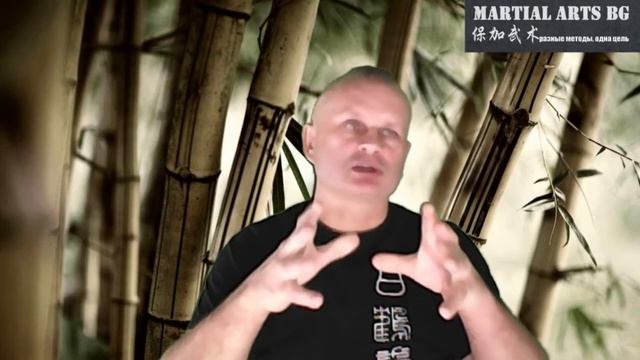 Что такое ушу? Из стрима смотреть онлайн