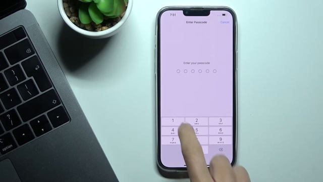 IPhone 13 Pro Max – Reset Keyboard Dictionary