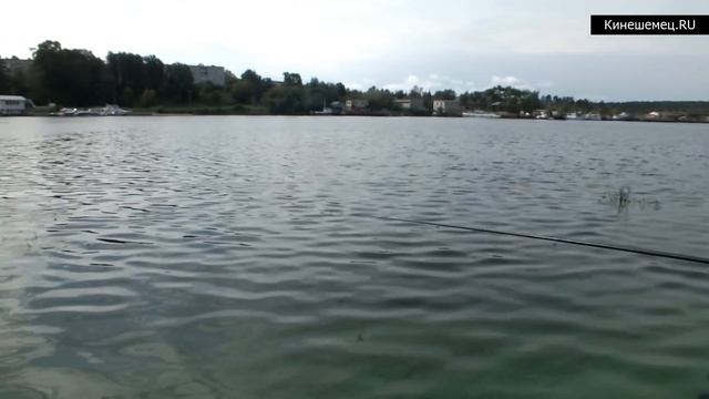 Летние соревнования по рыбной ловле прошли в Кинешме смотреть онлайн