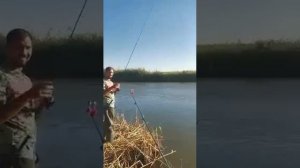 Особенности национальной рыбалки в Ростовской области.MP4