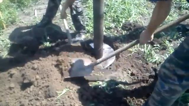 Изготовление буронабивных свай смотреть онлайн