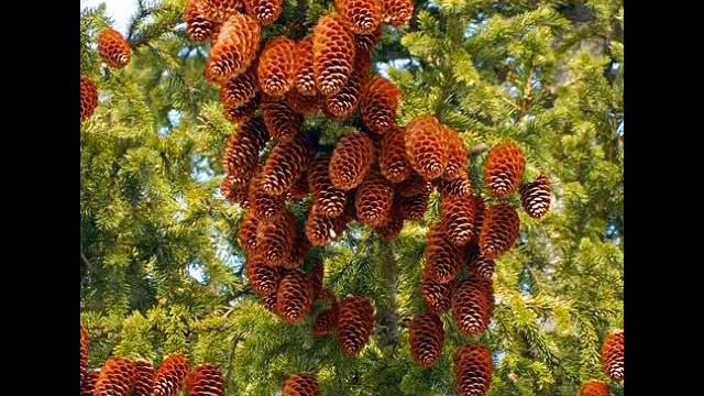 А жизнь прекрасна!.wmv смотреть онлайн