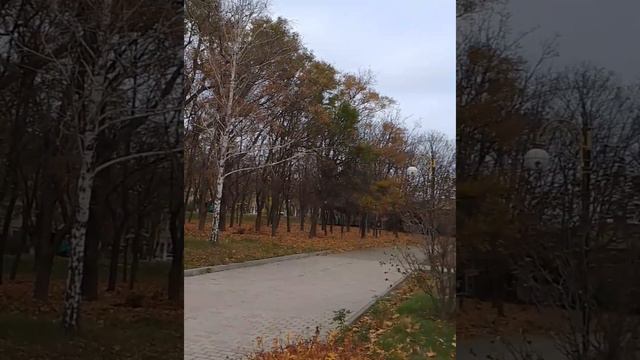 Мариуполь 🍁 осенний парк.Приморский район. смотреть онлайн