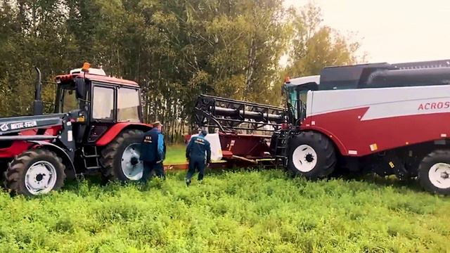 КФХ_Щукино. Четыре времени года смотреть онлайн