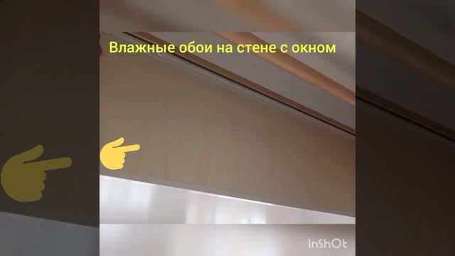Залив квартиры 14.03.2023 и повреждение крыши балкона при чистке наледи от 15.03.2023 смотреть онлайн