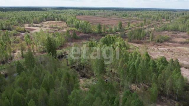 1830463 смотреть онлайн