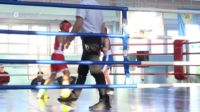 В Губкине состоялся новогодний турнир по боксу смотреть онлайн