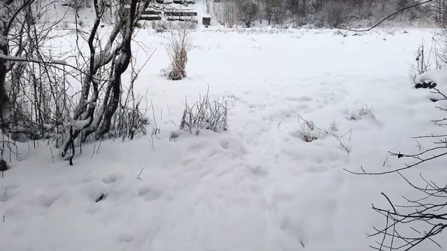 Сиверский. У Оредежа в снежный денёк, январь... смотреть онлайн