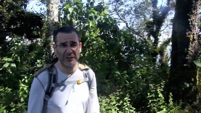 Guatemala: Volcán San Pedro смотреть онлайн