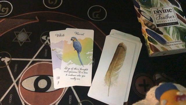 " พี่หมีรีวิวไพ่ " Oracle 11 : Divine Feather Messenger смотреть онлайн
