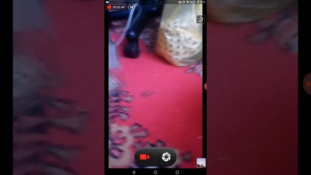 Как чикушка дастанит хлеб? смотреть онлайн