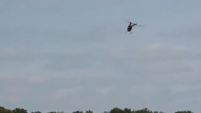 RC Helicopter flying 🚁 Align T-REX 500 3D смотреть онлайн