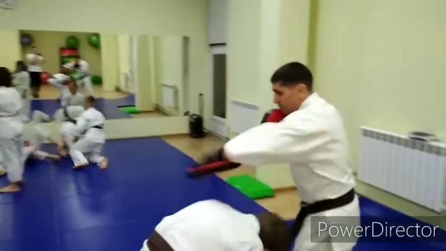 Ассоциация развития айкидо смотреть онлайн