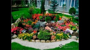 Альпийская горка своими руками Мастер класс