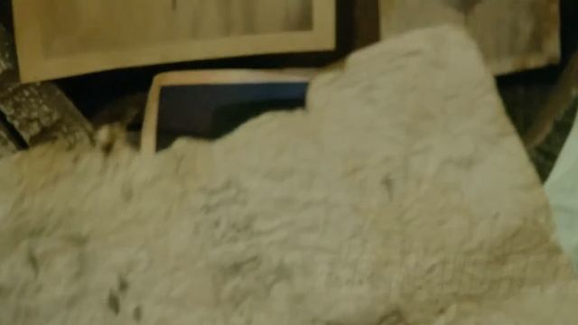 In The Mojave Desert, A Young Guide Has To Save His Life Under The Fierce Sun