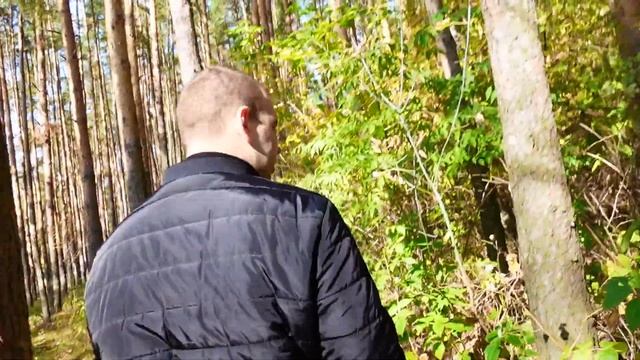 осенняя прогулка вместе с нами смотреть онлайн