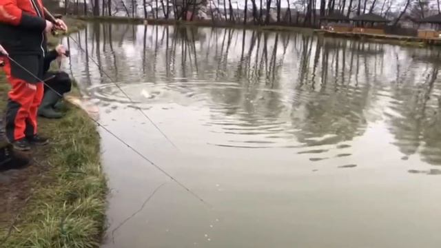 Кто в Мисайлово рыбачит, тот форель всегда подсачит смотреть онлайн