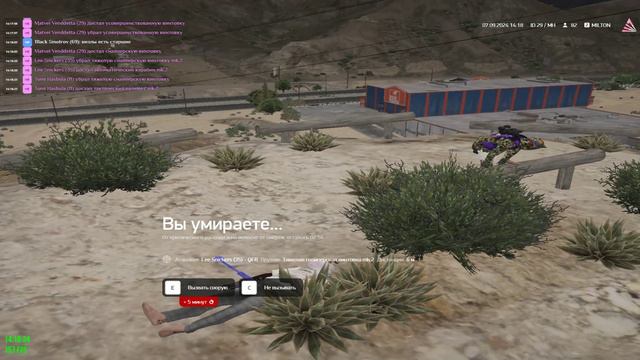 Grand Theft Auto V 2024.09.07 - 14.19.08.02.DVR - Trim смотреть онлайн