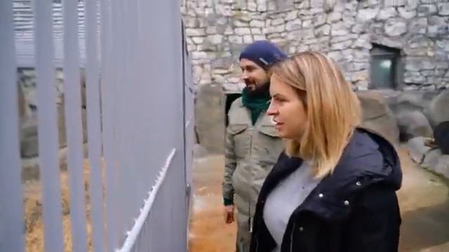 Диксон впервые искупался в бассейне. смотреть онлайн