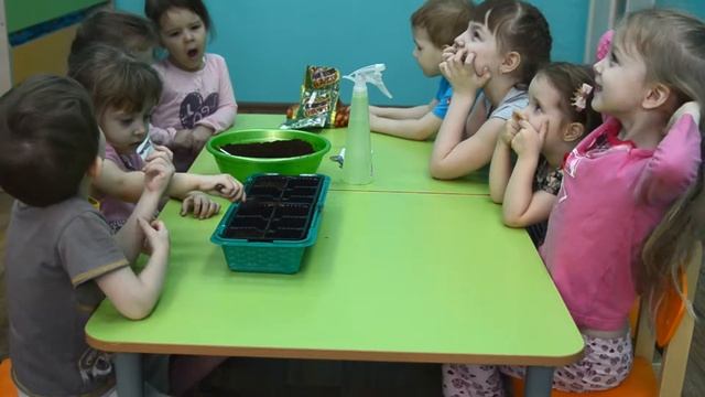Растениеводство // занятие // Дивный Мир - детский сад г.Омска смотреть онлайн