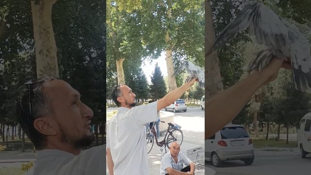 25 июня 2023 г.