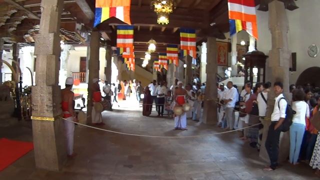 Дикая и непредсказуемая Шри-ланка 2017 смотреть онлайн