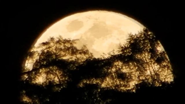 Super Lua 07 e 08 de Setembro de 2014 By Nikon P500 FULLHD 1080p смотреть онлайн